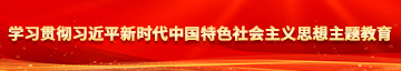 少妇色播网学习贯彻习近平新时代中国特色社会主义思想主题教育